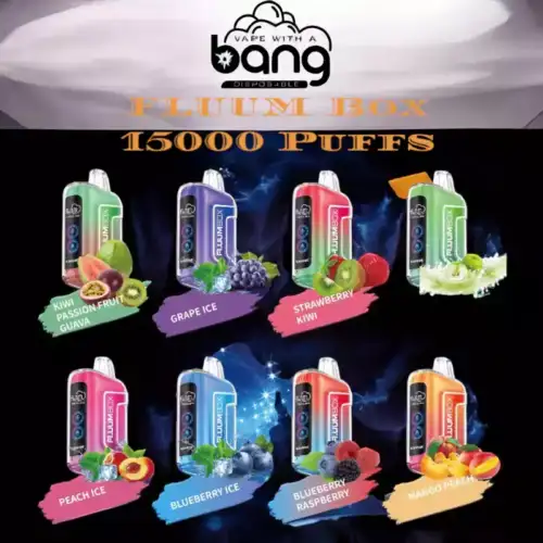 BANG FLUUM Box 15000 bouffées LED Vape jetable Vape longue durée, savoureuse et de haute technologie