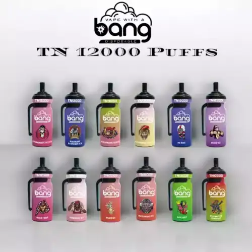 BANG TN 12000 bouffées Vape jetable Puissance, performance et saveur dans un seul appareil