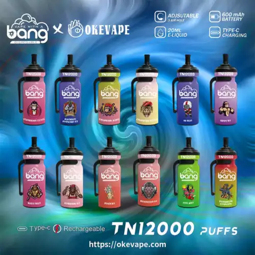 BANG TN 12000 bouffées Vape jetable Puissance, performance et saveur dans un seul appareil