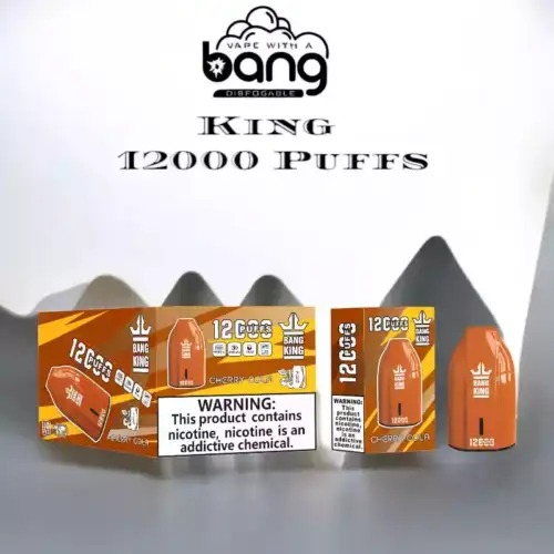 Bang King 12000 Puffs Vape jetable Une expérience puissante et savoureuse