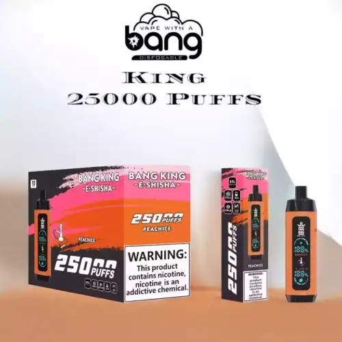 Bang King 25000 bouffées Stylo à Vape jetable en cuir       