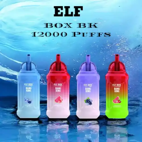 ELF BOX-BK 12000 Puffs Disposable Vape Mesh Coil, Type-C Charging, 23mL E-liquid,