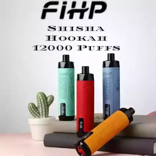 FIHP Shisha Hookah 12000 bouffées Vape jetable 22mL E-liquide, Mesh Coil, LED Display