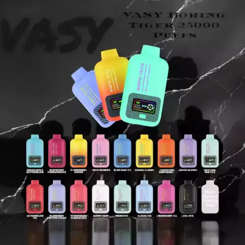 VASY Boring Tiger 25000 bouffées Vape jetable avec Dual Mesh Coils