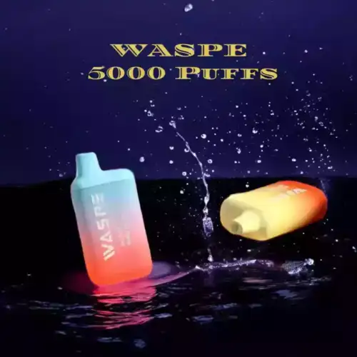 WASPE 5000 Puffs Vape jetable avec bobine en maille et chargement de type C
